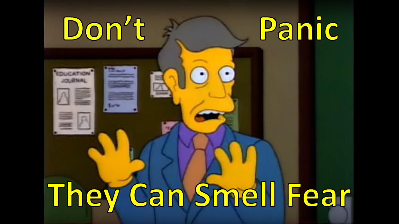 Principal Skinner Smell Fear